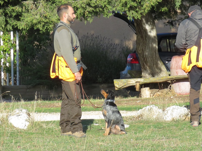 Finaliza el Curso de Instructor Adiestrador de Perros de Caza de la Escuela Española de Caza