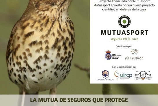 Mutuasport y entidades del sector cinegético lanzan el “Proyecto Zorzales: monitorización, seguimiento y gestión de zorzales en España”