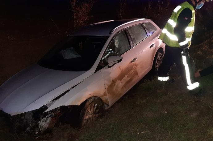 Navarra. Herida una conductora al atropellar un jabalí y caer por una terraplén