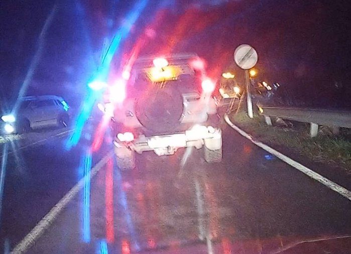 Dos heridos al chocar una motocicleta con un corzo en La Rioja