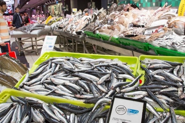 Los pescadores del Cantábrico proponen una veda para la anchoa entre Santander y Hondarribia