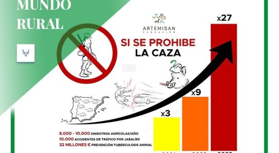 Una posibilidad para cazadores y empresas perjudicadas por el cierre de la caza durante el estado de alarma