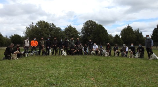 Comienza en Castillejo de Robledo (Soria) el Curso de Instructor-Adiestrador de Perros de Caza 2021