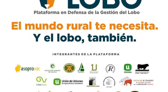 Ganaderos y asociaciones del mundo rural unen fuerzas para reclamar una convivencia sostenible con el lobo ibérico