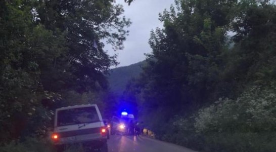 Grave ataque de un oso a una mujer de 75 años en Cangas del Narcea