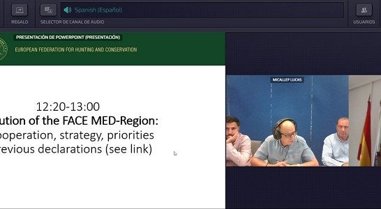 La RFEC traslada a FACE su preocupación por la deriva conservacionista anticaza de la Comisión Europea