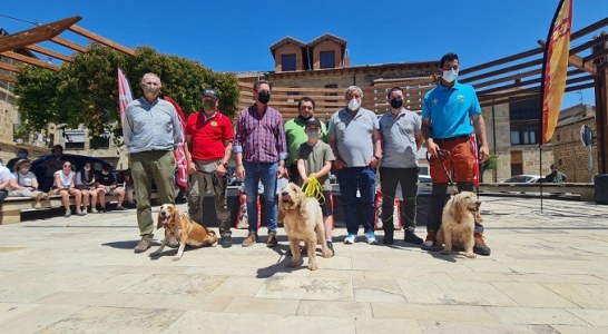 El cántabro Adolfo Posada y ‘Gaby’ se imponen en el XXVIII Campeonato de España de Perros de Rastro modalidad Jabalí