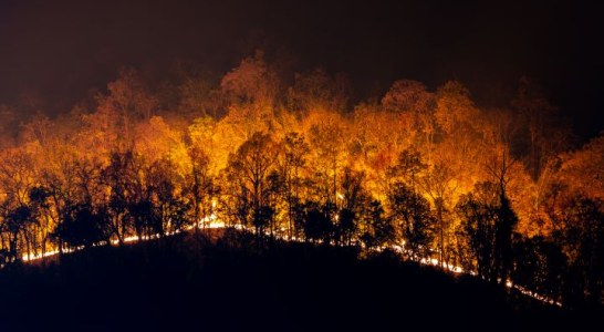 El papel del cazador en los incendios