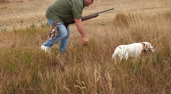 Castilla y León. La media veda alza el telón