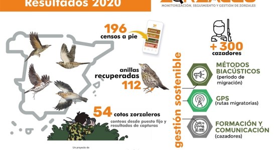 Proyecto Zorzales, caza y ciencia unidas por la conservación de las aves migratorias