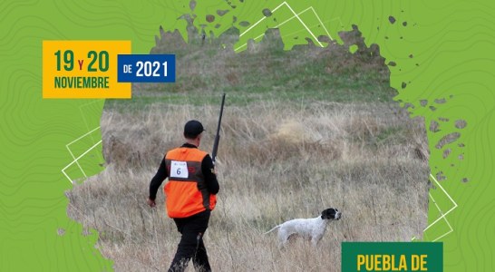 Los mejores cazadores de España se baten en la semifinal de caza menor con perro el 20 de noviembre en Puebla de Albortón