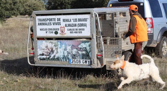 ARRECAL logra que los rehaleros puedan optar a las ayudas para centros de limpieza y desinfección de vehículos de transporte de ganado