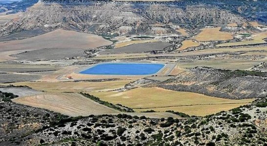 La perdiz tiene salvación con mejoras medioambientales