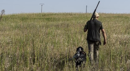 Moncloa baraja diferenciar a los perros de caza en la ley de protección animal