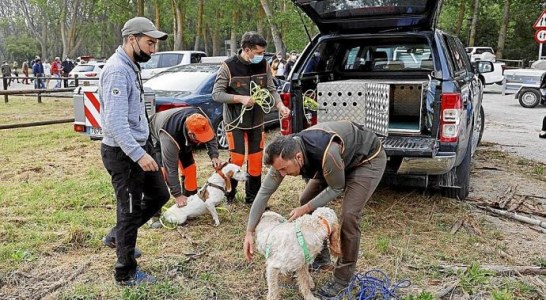 El 98% de los cazadores y de los cotos de Navarra respeta la normativa vigente