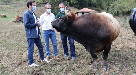 El ministro Garzón se supera: Cree que quien defiende el consumo de carne son “hombres que veían afectada su masculinidad”