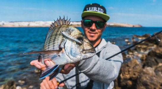 Tipos de señuelos y técnicas de uso para RockFishing