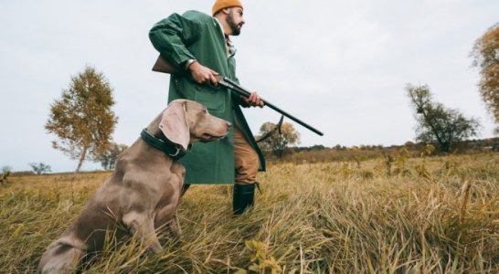 El Proyecto de Ley de Protección Animal y el RD de Núcleos zoológicos, una amenaza para la forma de vida de millones de personas