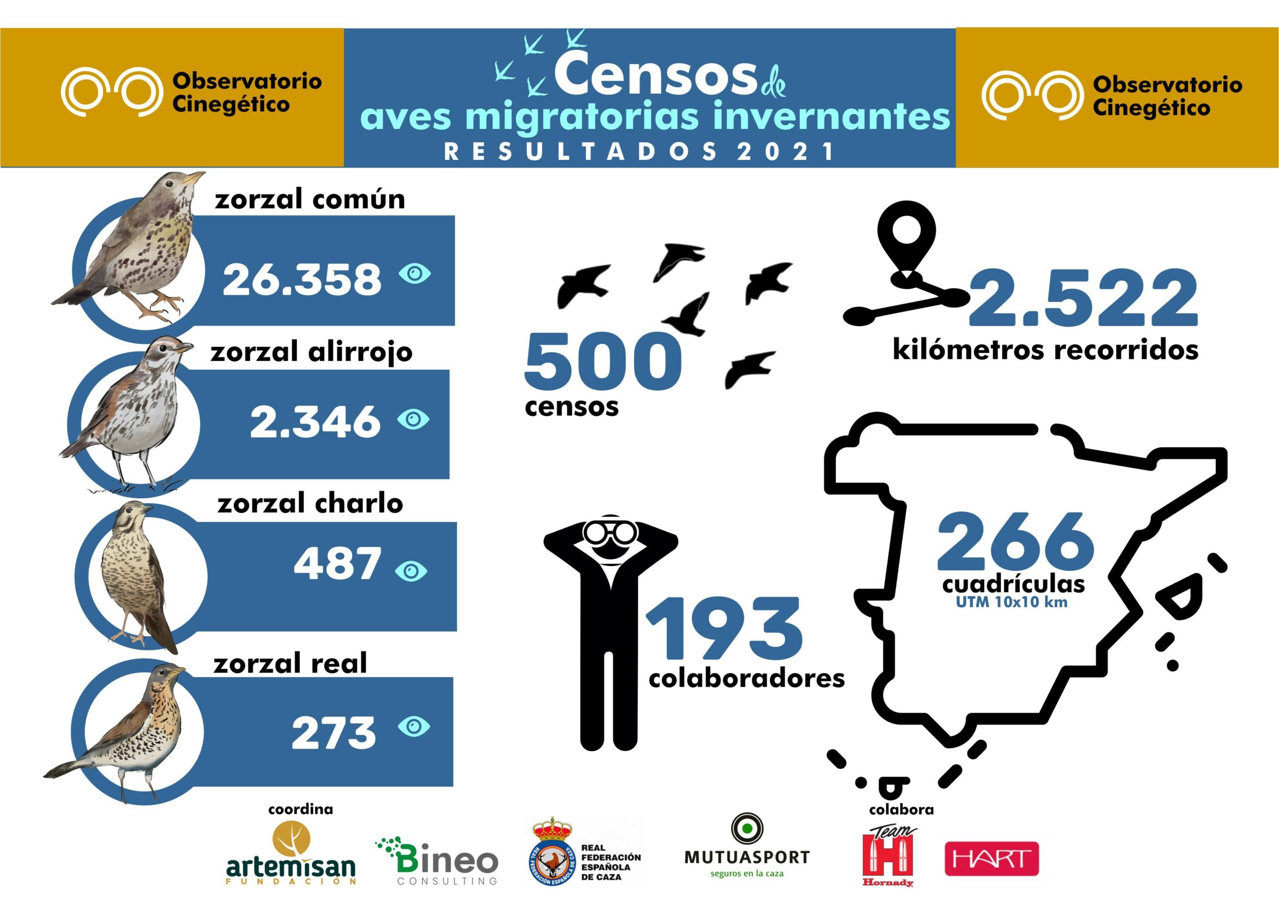 La participación en censos de aves migratorias invernantes del Observatorio Cinegético aumenta un 155 %