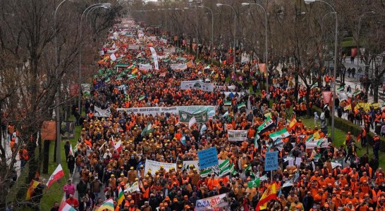 El sector cinegético lamenta que la Ley Animalista y la reforma del Código Penal sigan adelante pese al rechazo social