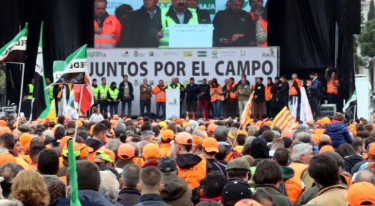 La RFEC se concentrará frente al MITECO el 21 de abril en defensa de la codorniz