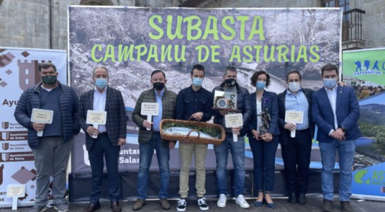 SUBASTA DEL CAMPANU DE ASTURIAS