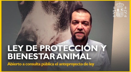 Artemisan presenta alegaciones a la Ley de Bienestar Animal y pide su retirada