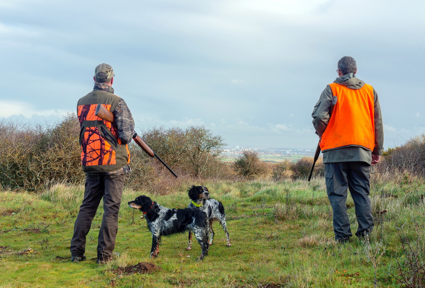 Varapalo judicial a Ecologistas en Acción en Extremadura