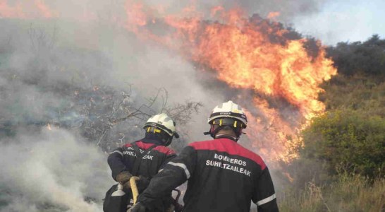 Suspendido el Día de la Caza en Navarra