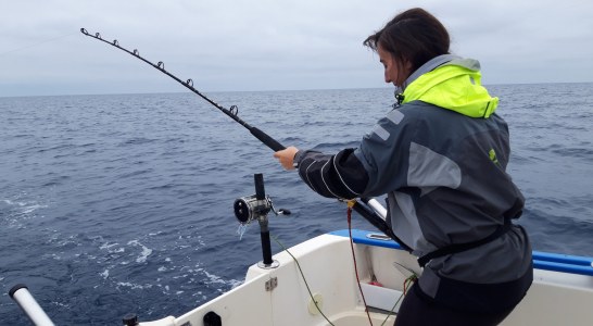 Bonito y el txipiron se convierten durante los meses estivales en los reyes de la pesca