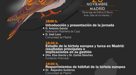 Madrid acogerá mañana una Jornada Divulgativa sobre Tórtolas