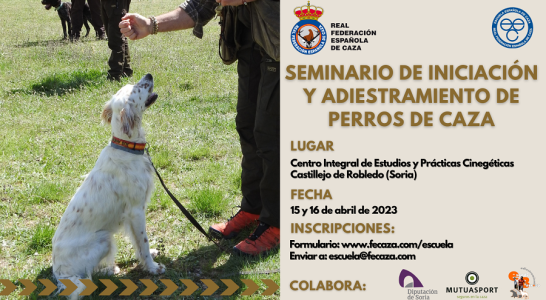 La Escuela de Caza de la RFEC organiza un seminario de iniciación y adiestramiento de perros de caza