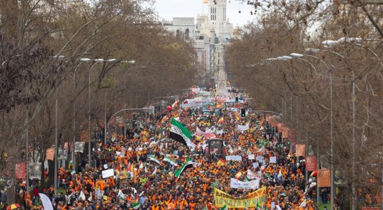 La RFEC apoyará y secundará las manifestaciones de Pamplona y Valencia en defensa de la caza