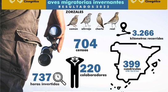 Los censos del Observatorio Cinegético de aves migratorias invernantes aumentan más de un 40 %