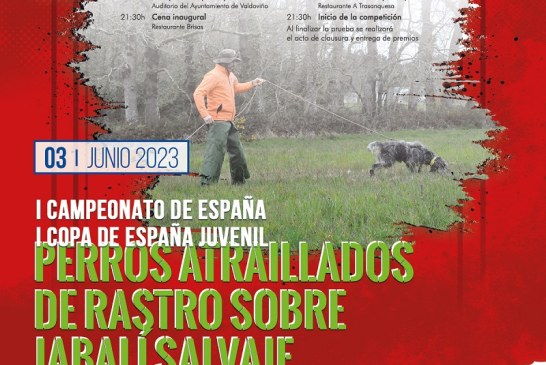 A Coruña albergará la primera edición del Campeonato de España de Perros Atraillados sobre Jabalí Salvaje