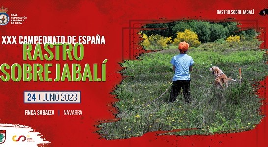 Los mejores perros de rastro sobre jabalí atraillado se darán cita en Navarra en la 30 edición del Campeonato de España