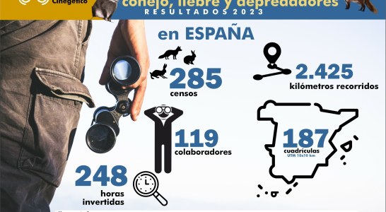 Más de cien cazadores participan en los censos de conejo, liebre y depredadores del Observatorio Cinegético