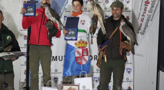 La Roda corona a los campeones de España de Cetrería 2023