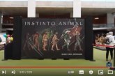 CIUDAD REAL ACOGERA EL MUSEO DE LA CAZA MAS GRANDE DEL MUNDO (VIDEO)