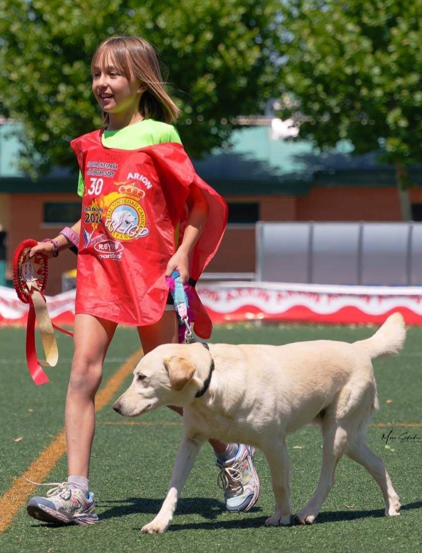 Una niña de 10 años y su Labrador, ganadoras de la Copa en España de Búsqueda y Localización de Objetos