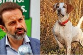 El Gobierno de España vuelve a cargar contra los perros de caza en su Ley de bienestar animal