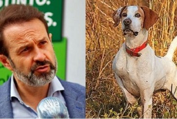 El Gobierno de España vuelve a cargar contra los perros de caza en su Ley de bienestar animal