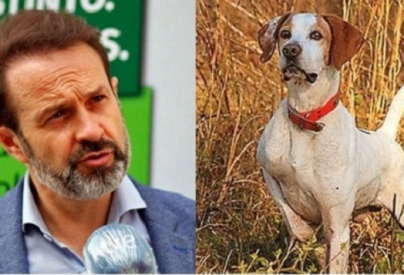 El Gobierno de España vuelve a cargar contra los perros de caza en su Ley de bienestar animal