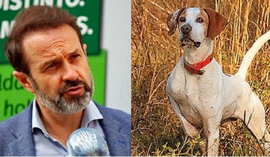 El Gobierno de España vuelve a cargar contra los perros de caza en su Ley de bienestar animal